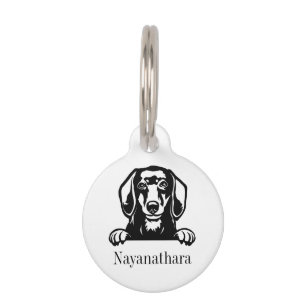 Médaillon Pour Animaux plaque personnalisée avec nom pour chien teckel
