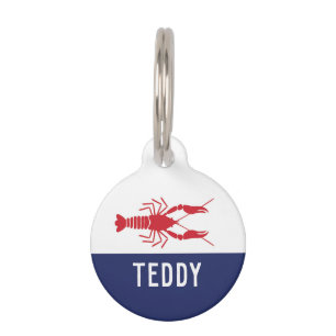 MÉDAILLON POUR ANIMAUX POISSON D'ÉCRAN (MARINE)