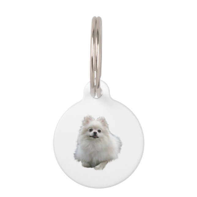 Médaillon Pour Animaux Pomeranian Dog (Devant)