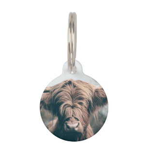 Médaillon Pour Animaux Portrait de vache Highland