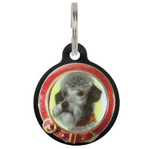 Médaillon Pour Animaux PORTRAITS DE CHIEN DE MINIATURE VICTORIENNE Aireda