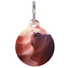 Pour l'animal familier