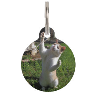 Médaillon Pour Animaux Prédateur féroce