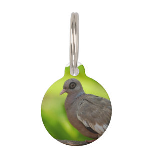 Médaillon Pour Animaux Produit de personnaliser