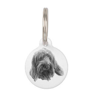 Médaillon Pour Animaux Promeneur de terrain Spinone