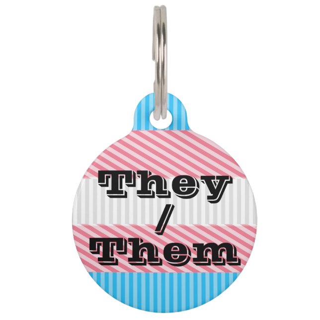 Médaillon Pour Animaux Pronoun Boho Stripe Transgender Pride personnalisa (Devant)
