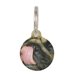 Médaillon Pour Animaux Pugalicious