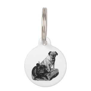 Médaillon Pour Animaux Pugs d'identité, look ombré