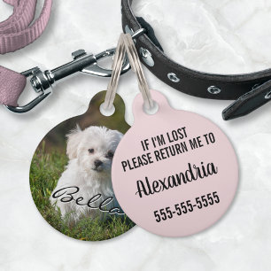Médaillon Pour Animaux Puppy Chien Personnalisé Photo Nom Numéro