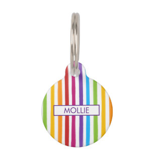 Médaillon Pour Animaux Rayures arc-en-ciel personnalisées