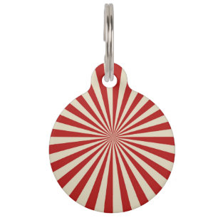 Médaillon Pour Animaux Retro Vintage Popcorn Classic Décor à Roue