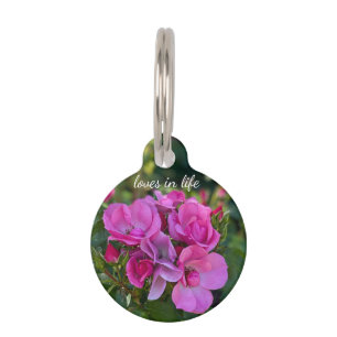 Médaillon Pour Animaux Rose Rose Lavande