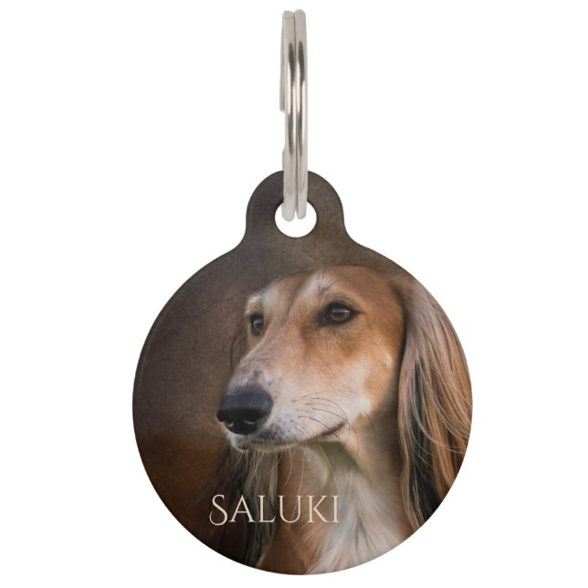 Médaillon Pour Animaux Saluki (Devant)
