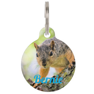 Médaillon Pour Animaux Salut