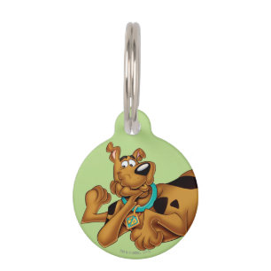 Médaillon Pour Animaux Scooby Doo Allongé