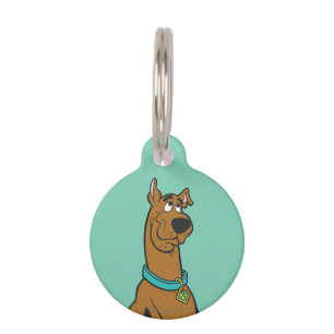 Médaillon Pour Animaux Scooby Doo Chiot Yeux