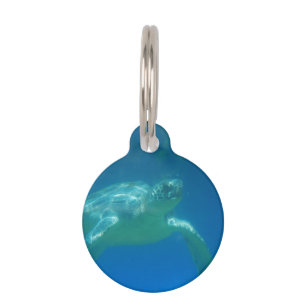 Médaillon Pour Animaux sea-turtle-49.jpg