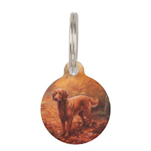 Médaillon Pour Animaux Setter Rouge Irlandais en Automne Feuilles Tombées