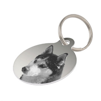 Médaillon Pour Animaux Siberian Husky Huskybild