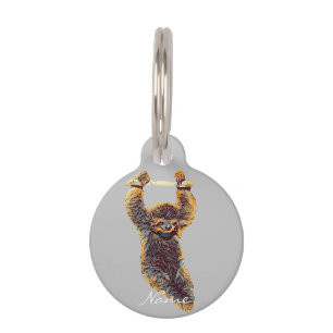 Médaillon Pour Animaux Sloth Hanging Out Thunder_Cove
