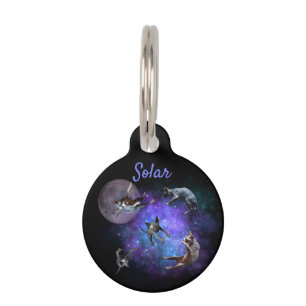 Médaillon Pour Animaux Sphynx de l'espace amusant Chats flottants Galaxy 