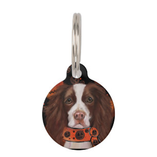 Médaillon Pour Animaux Springer Spaniel Anglais       