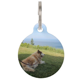 Médaillon Pour Animaux Suka Profite du Cape George Pet Tag