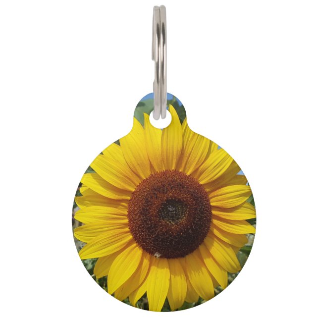 Médaillon Pour Animaux Sunny Sunflower (Devant)