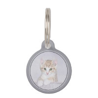 Tabby Orange Kitten Peinture - Art Chat original