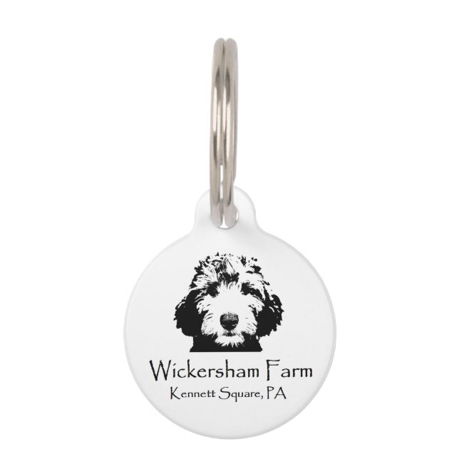 Médaillon Pour Animaux Tag d'animal de compagnie personnalisable de la fe (Devant)