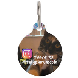 Médaillon Pour Animaux Tag de animal de compagnie de Calypso sur Ato 8-10