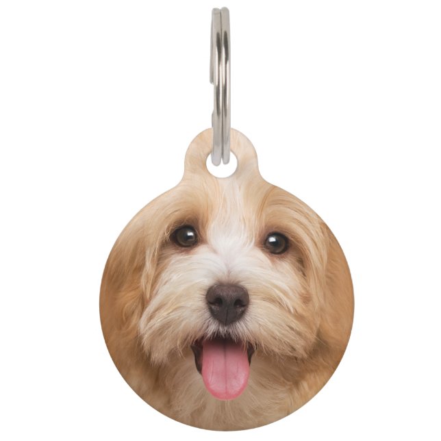 Médaillon Pour Animaux Télécharger l'animal photo (Devant)