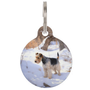 Médaillon Pour Animaux Terrier Fox à poil dur "Laissez tomber la neige" N