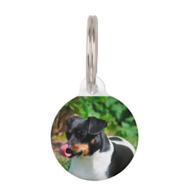 Médaillon Pour Animaux Terrier Russell Parson.