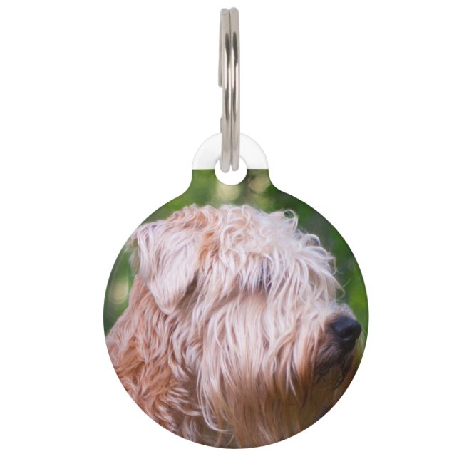 Médaillon Pour Animaux Terrier Wheaten (Devant)