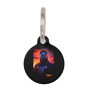 MÉDAILLON POUR ANIMAUX THOR VIKING