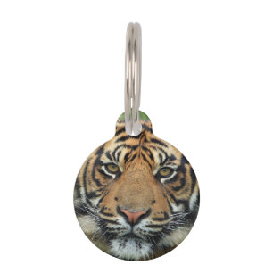 Médaillon Pour Animaux Tigre
