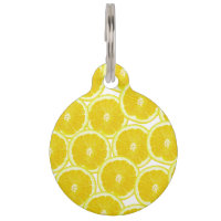 Tranches de citron d'été