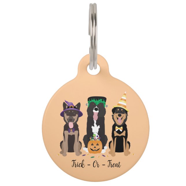 Médaillon Pour Animaux Trick Ou Traiter Les Chiens En Costumes D'Hallowee (Devant)