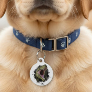 Médaillon Pour Animaux Tyrannosaurus Dinosaur Chien de compagnie Chat ID 