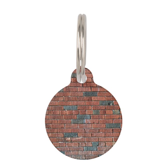Médaillon Pour Animaux Vieux mur de briques rougeâtre/brunâtre (Devant)