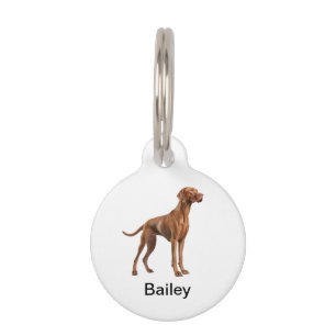 Médaillon Pour Animaux Vizsla Chien race Monogram Chien ID Tags