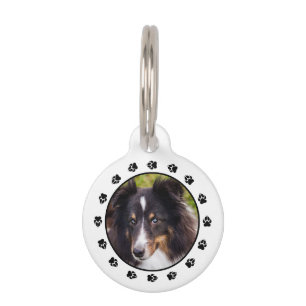 Médaillon Pour Animaux Votre photo de compagnie personnalisée avec emprei