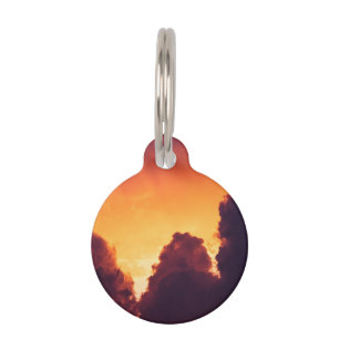 Médaillon Pour Animaux w par temps