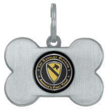 1re division de cavalerie CAV