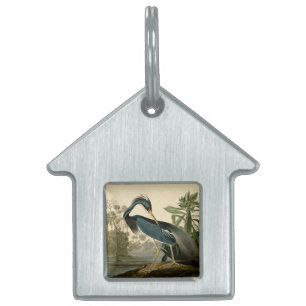 Médaillons Pour Animaux Domestiques Audubon Héron de Louisiane Oiseaux Amérique Art