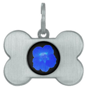 Médaillons Pour Animaux Domestiques Balise Bleu Nasturtium Pet