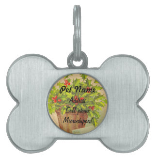 Médaillons Pour Animaux Domestiques Balise de Noël Holly Pet
