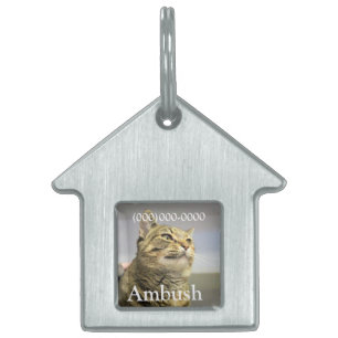 Médaillons Pour Animaux Domestiques Balise ID animal de compagnie de chat