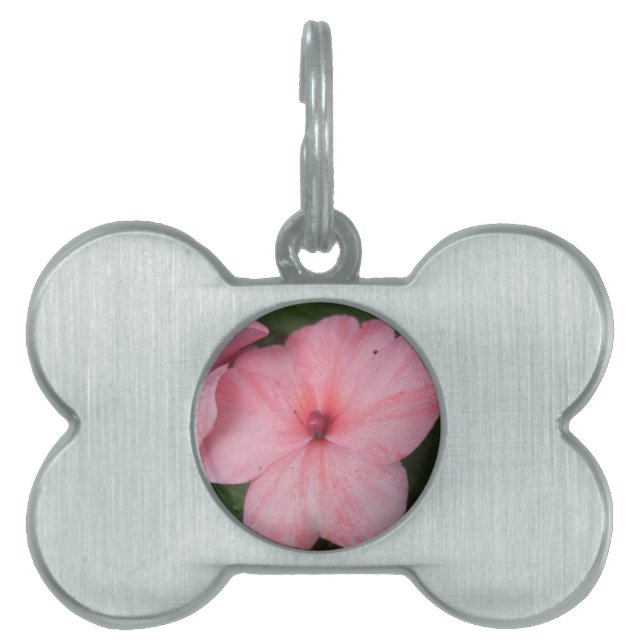 Médaillons Pour Animaux Domestiques Balise Pale Rose Impatiens Flower Pet (Devant)